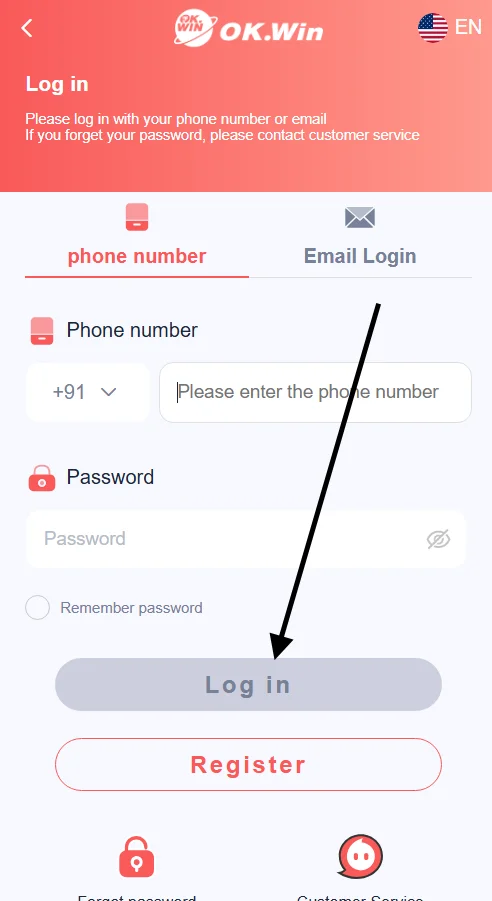Click the Log in button